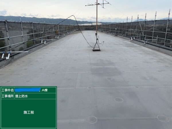 八尾市にて屋上雨漏り修理〈経年劣化で破れた防水シート〉の施工前写真